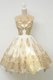 Scoop Champagne Tulle Zipper Prom Gown Sleeveless Knee Length Lace and Appliques