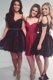 Noble A-line Prom Dresses Black V-neck Lace Sleeveless Mini Length Zipper