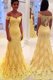 Off the Shoulder Lace Sleeveless With Train Dress for Prom Brush Train and Lace