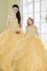Wonderful Sweetheart Sleeveless Organza Sweet 16 Quinceanera Dress Beading and Sequins Lace Up