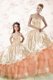 Glorious Peach Lace Up 15th Birthday Dress Embroidery and Ruffled Layers Sleeveless Floor Length