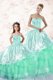 Sweet Ruffled Floor Length Apple Green Quinceanera Dress Sweetheart Long Sleeves Lace Up