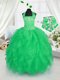 Clearance Apple Green Halter Top Lace Up Appliques and Ruffles Flower Girl Dress Sleeveless