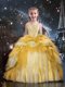 Ruffled Ball Gowns Child Pageant Dress Gold Spaghetti Straps Tulle Sleeveless Floor Length Lace Up