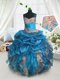 New Style Pick Ups Floor Length Ball Gowns Sleeveless Baby Blue Kids Pageant Dress Lace Up