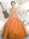 Orange Sleeveless Appliques Floor Length Flower Girl Dresses