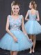 Perfect V-neck Sleeveless Lace Up Dress for Prom Baby Blue Organza
