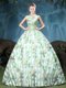 Nice Multi-color Lace Up Straps Appliques and Pattern 15 Quinceanera Dress Tulle Sleeveless