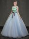 Light Blue Lace Up Scoop Appliques 15th Birthday Dress Organza Sleeveless